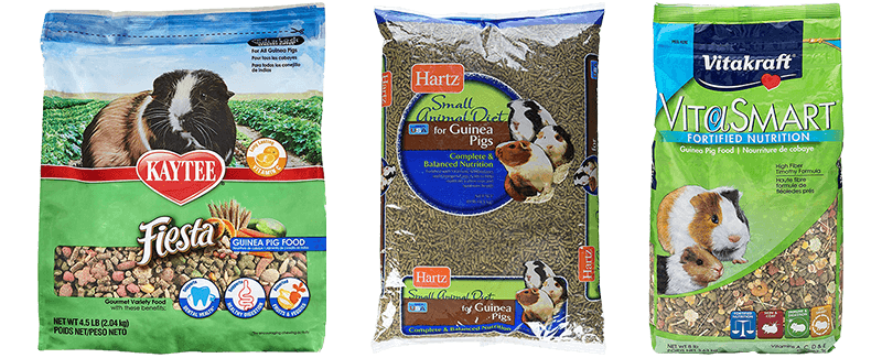 top guinea pig food