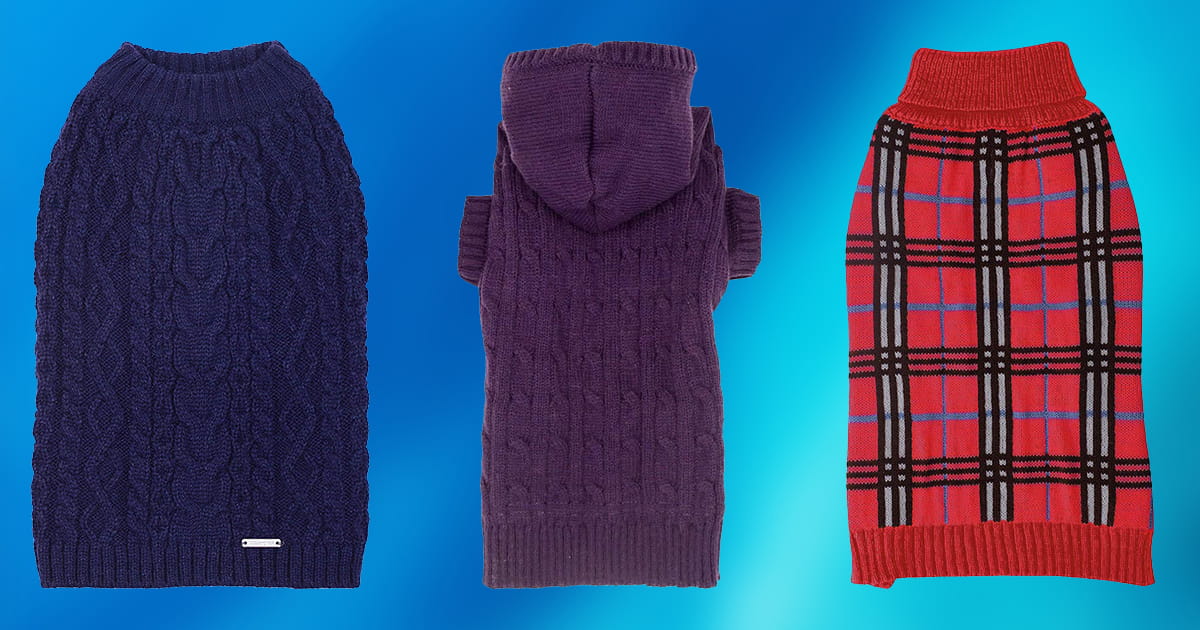 sweaters made for pitbulls