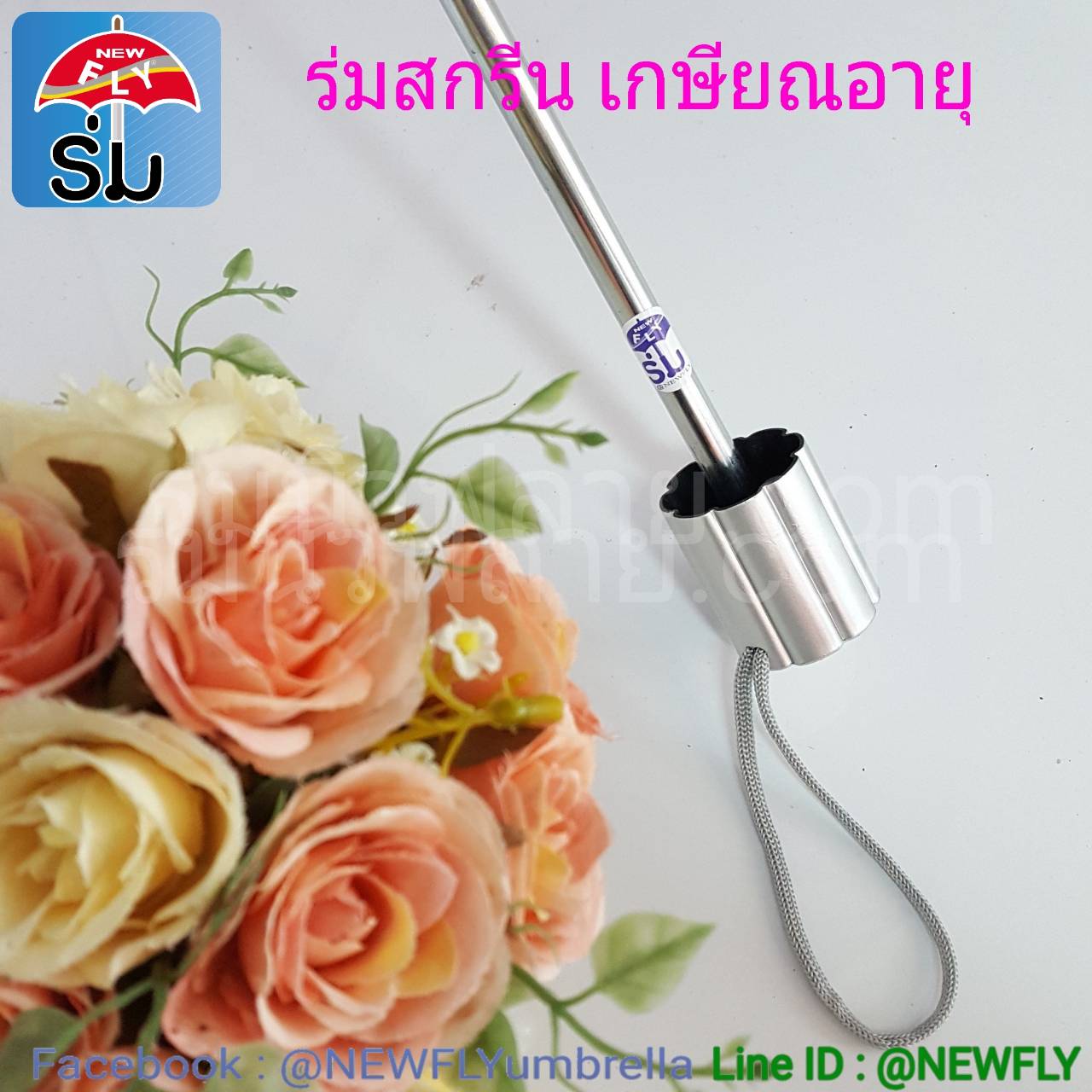 My Image 35