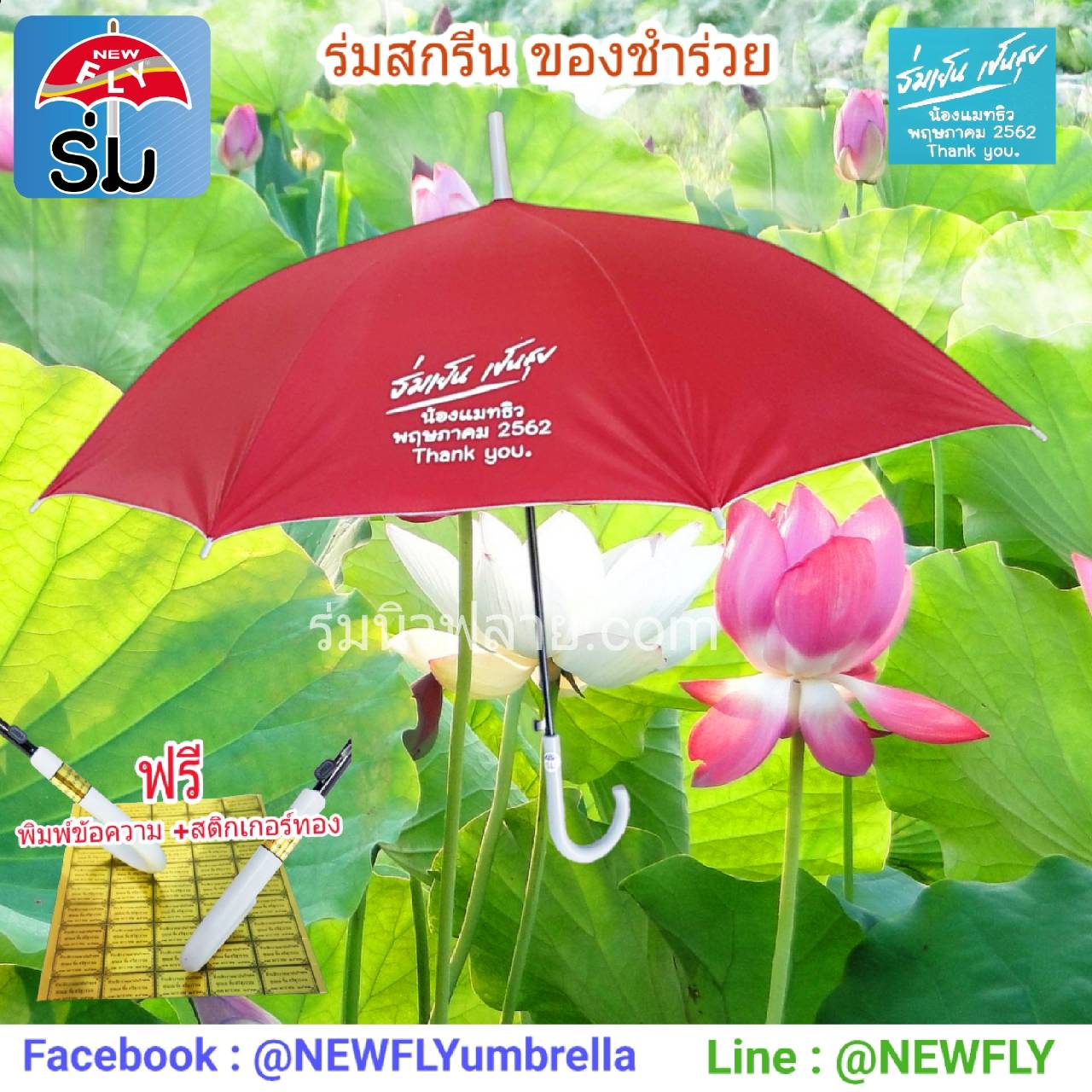 My Image 11