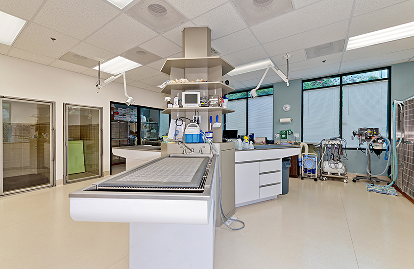 Pacific Coast Veterinary Dentistry White Construction, Inc.