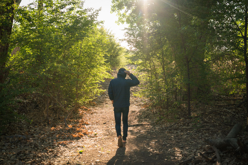 The Paseo del Bosque is recommended by notable locals as one of the best trails in Albuquerque, NM.