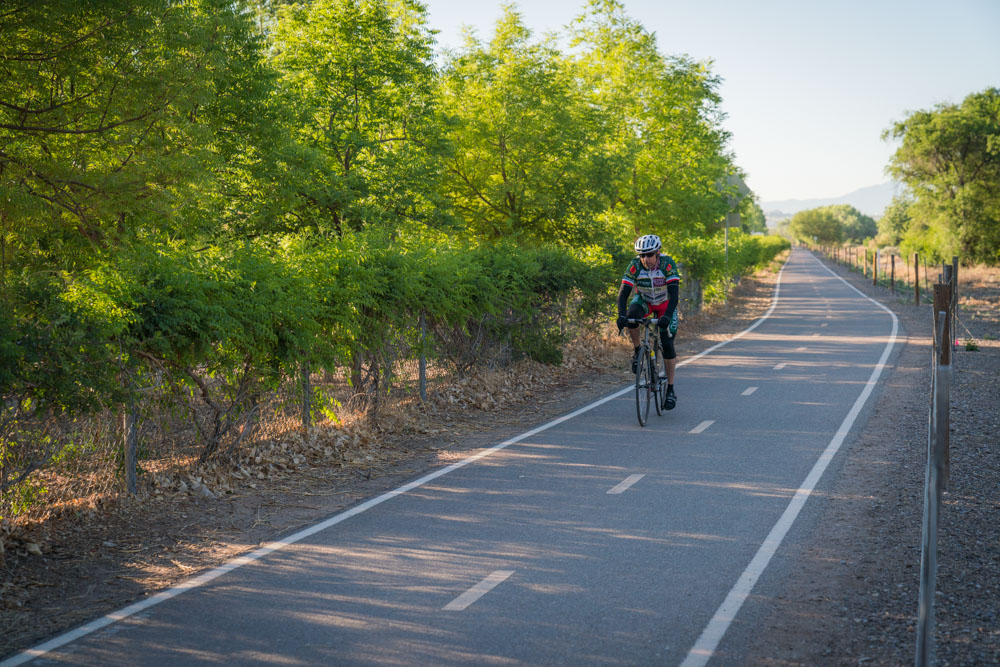 The Paseo del Bosque is recommended by notable locals as one of the best trails in Albuquerque, NM.
