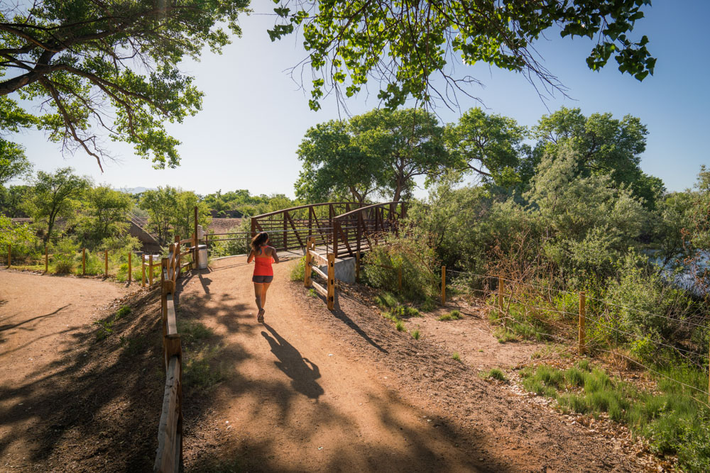 The Paseo del Bosque is recommended by notable locals as one of the best trails in Albuquerque, NM.