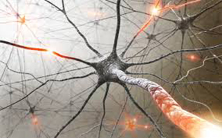 Comment évaluer les dysfonctionnements sexuels au cours des maladies neurologiques ?