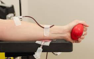 De l’impact du don du sang sur les performances physiques et les variables hématologiques de la femme