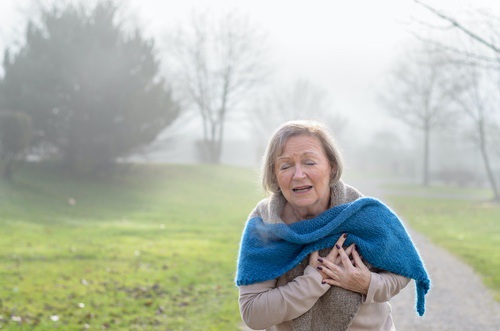 Infarctus du myocarde aigu : impact du sexe sur la nécrose et le myocarde à risque