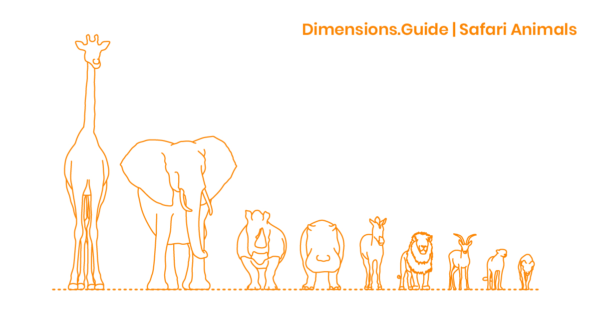 Safari Animals Dimensions & Drawings Dimensions.Guide