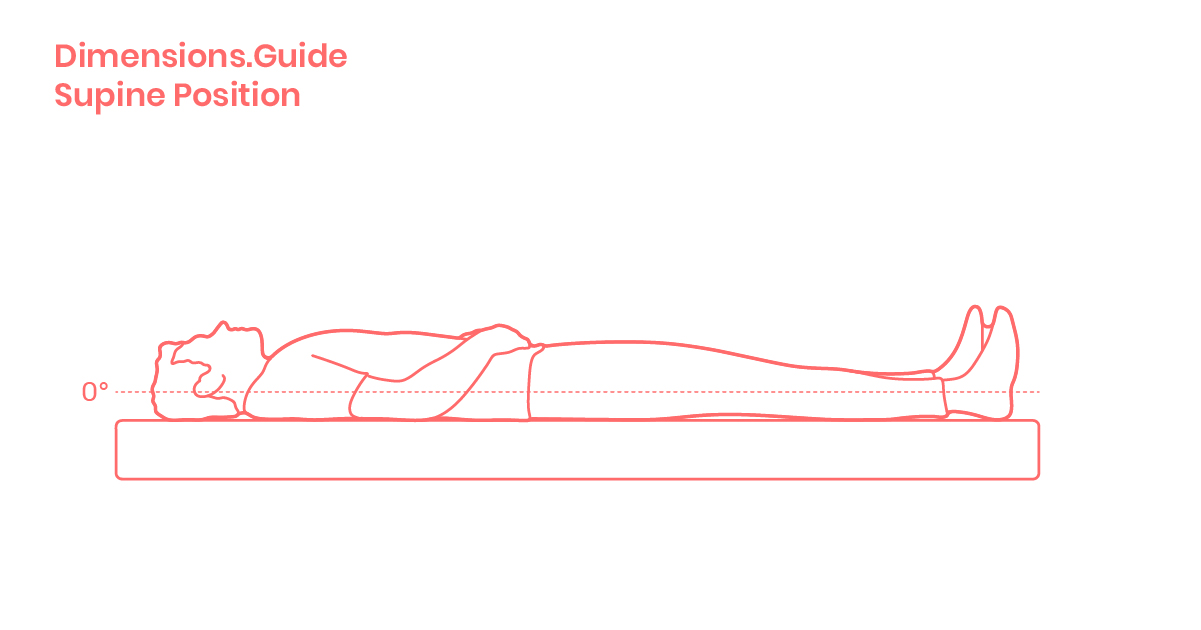 Supine Position Dimensions & Drawings Dimensions.Guide
