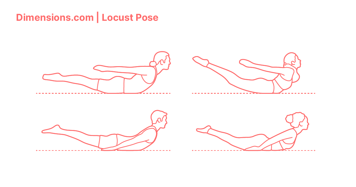 Locust Pose (Salambhasana) Dimensions & Drawings | Dimensions.com