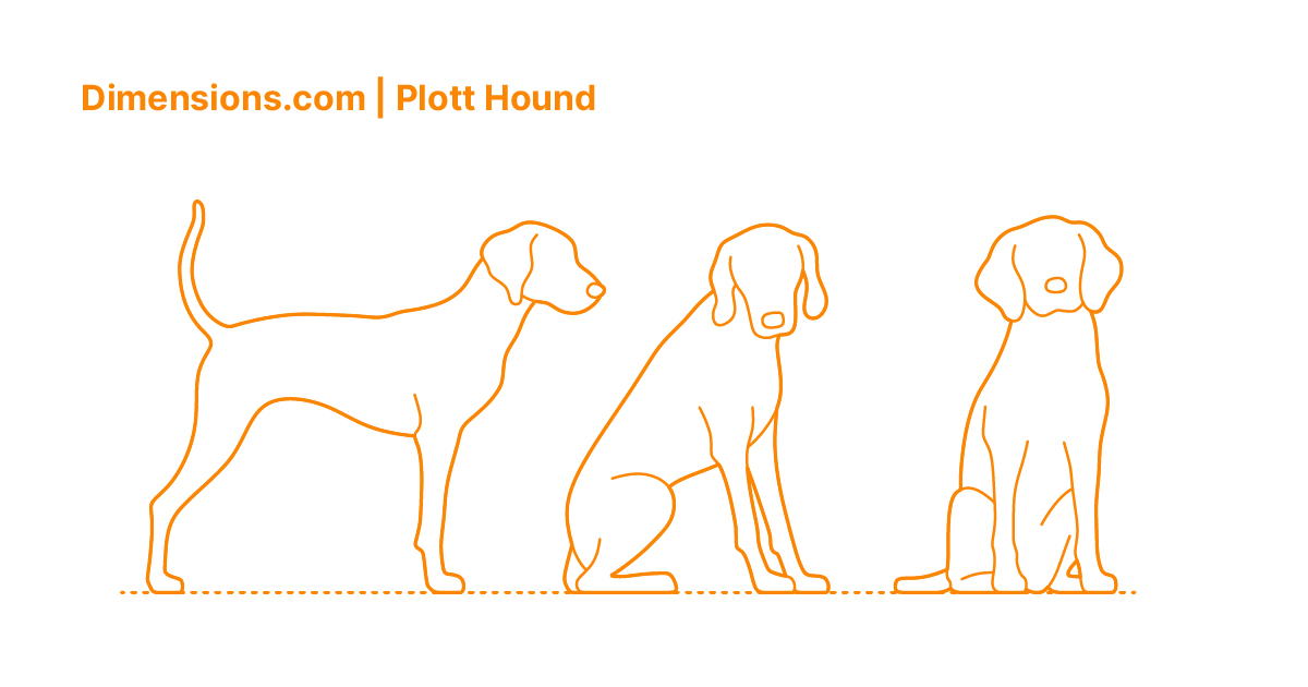 plott hound puppy weight
