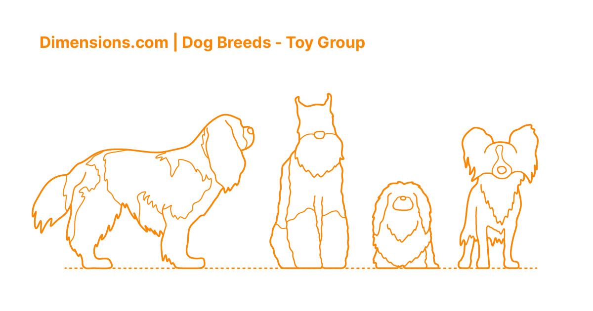 toy group breeds
