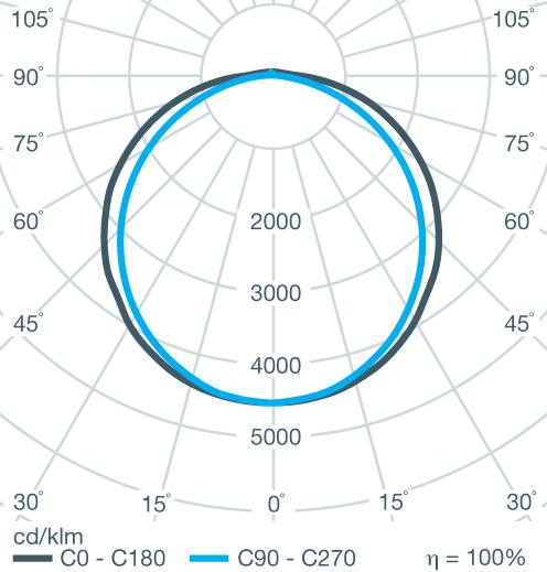 Polar Curve Image