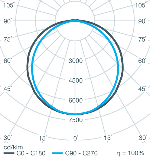 Polar Curve Image