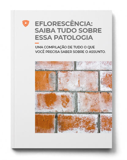 Eflorescência: Saiba Tudo Sobre Essa Patologia