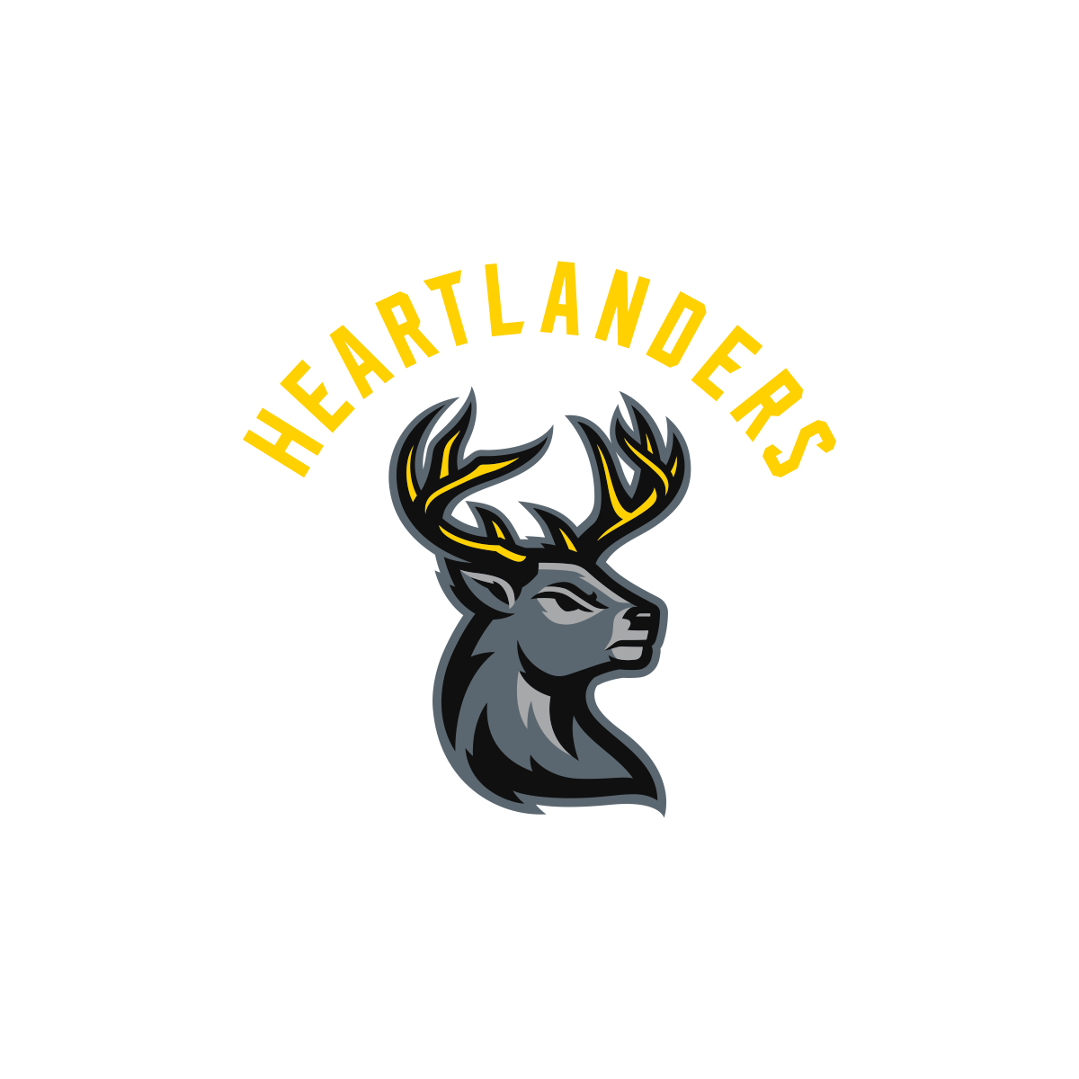 icethetics Iowa Heartlanders