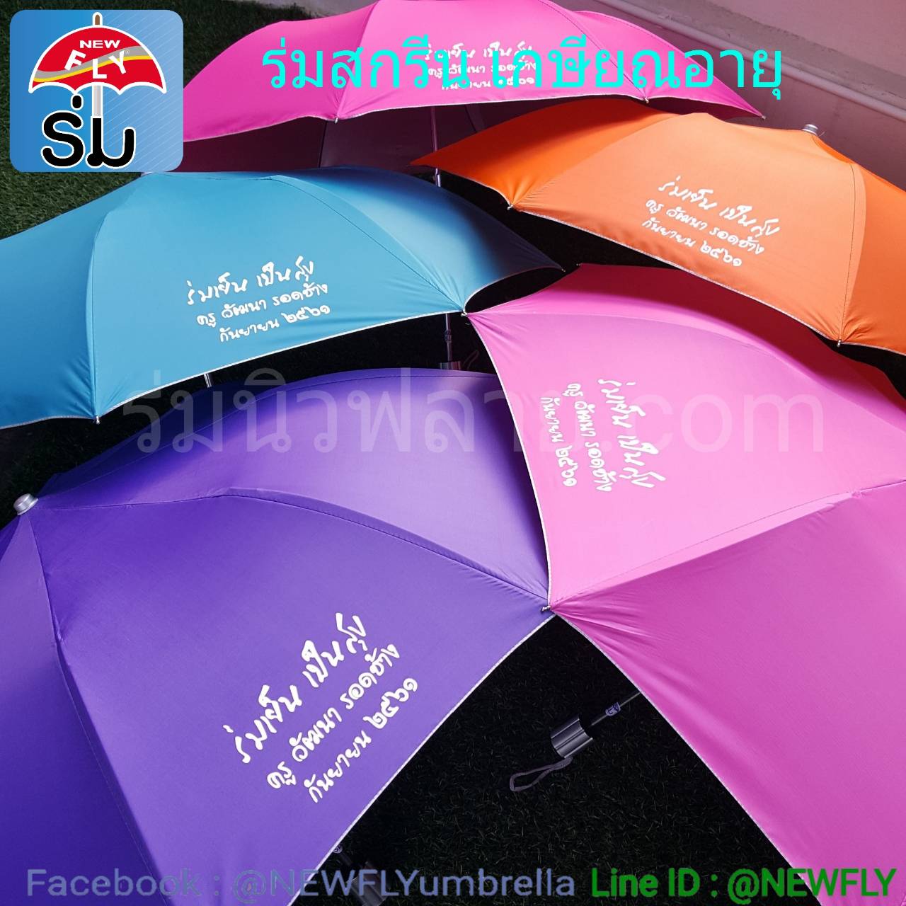 My Image 15
