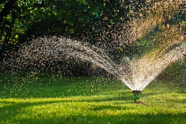 Watering Your Lawn Canopy Raleigh NC
