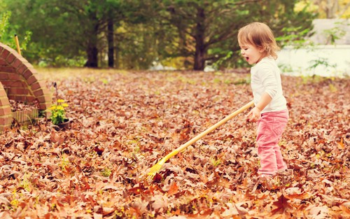 5 Fall Lawn Care Tips You Need To Know Canopy Lawn Care Raleigh, Durham, NC