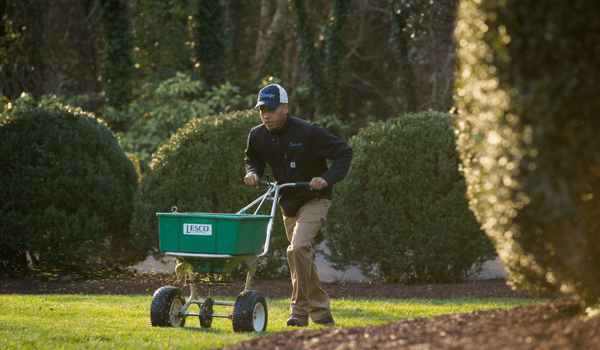 What Is The Property’s History? Canopy Lawn Care