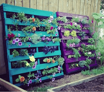 Pallet Verticle Garden - 5 DIY Pallet Ideas Canopy Lawn Care Raleigh, NC