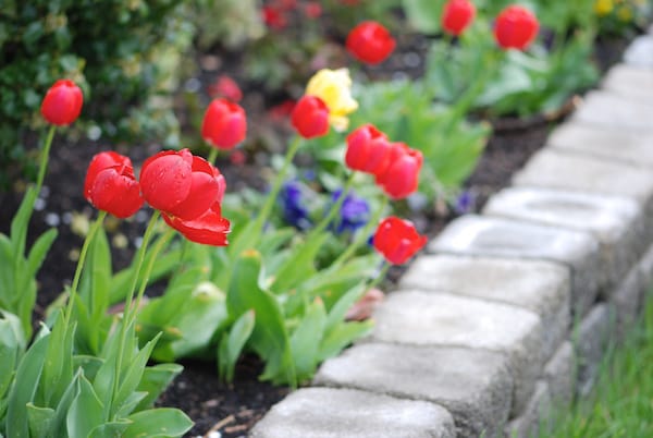Can Your Landscaping Help You Sell Your Home? Canopy Raleigh, NC
