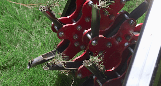 Canopy Core Aeration Canopy Lawn Care