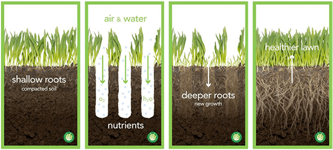 lawn aeration