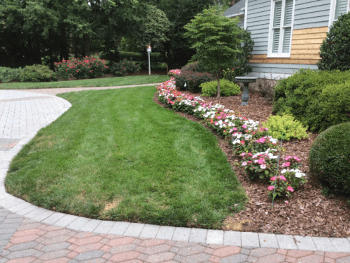 Flowers 8 Weeks After Installation By Canopy Lawn Care