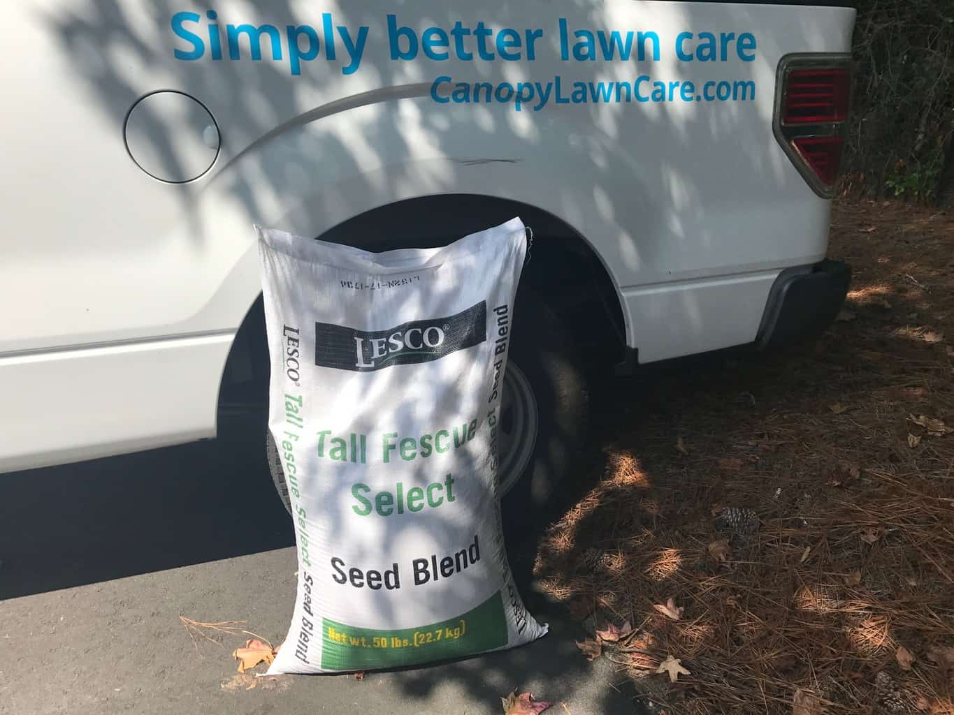 overseeding - use high quality seed - canopy lawn care