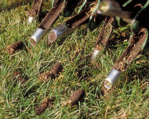 image:www.aldridgelawn.com