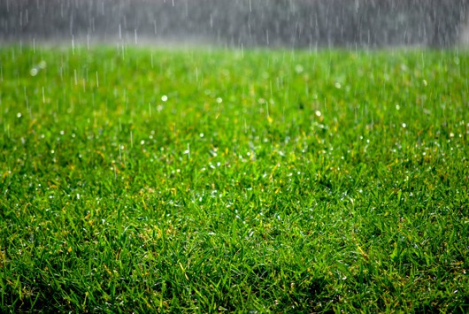 image: www.sprinkler-repair-plano.com