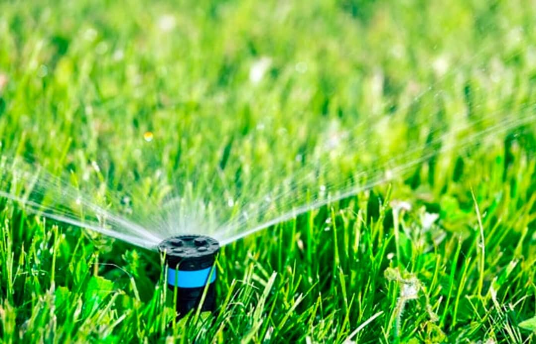 Watering Your Newly Aerated Lawn