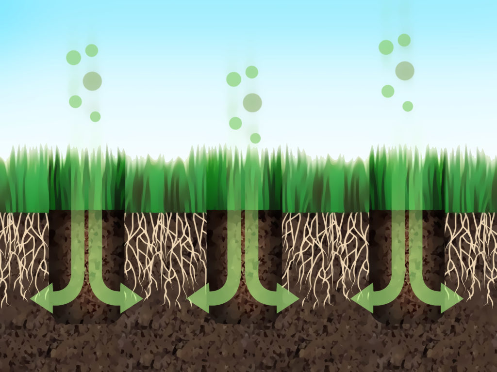 lawn aeration Raleigh