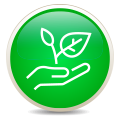 Year-round turf care program that includes weed control, fertilization, and lime applications.