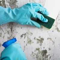 Cleaning and Disinfection, Industry