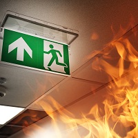 Fight or Evacuate, Office