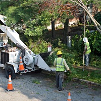 Tree Care Incidents, Industry