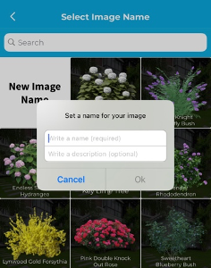 iScape app benefits
