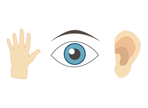 Design Tip #8 for Creating Multi-Touch Experiences - Design for Usability