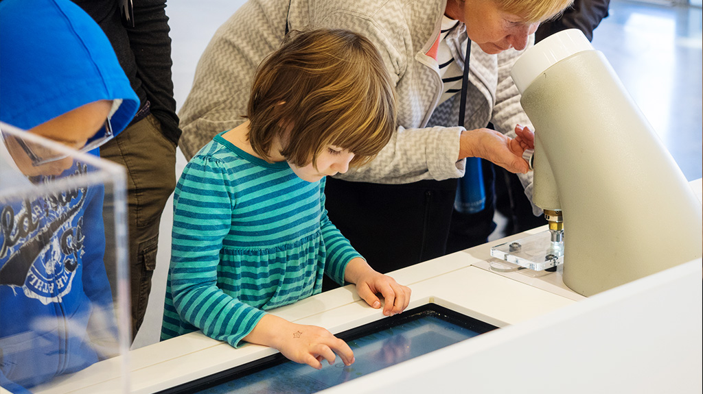 Digital Signage in Museum: Exhibiting Information in Interesting Ways