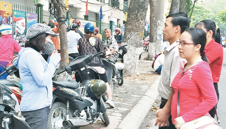 Cò trước cổng Bệnh viện