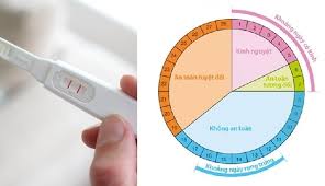Chu kỳ kinh nguyệt là gì