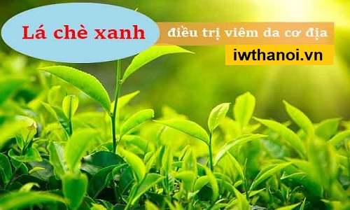 Viêm da cơ địa ở mặt, môi gây tróc vẩy, lột da nên làm gì?