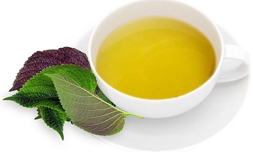 Chữa viêm da cơ địa bằng lá tía tô: Công dụng và cách tắm bằng lá