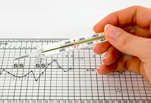 Cách tính ngày rụng trứng bằng cách đo thân nhiệt