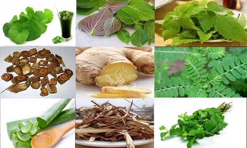 Cách chữa nổi mề đay dân gian được các bác sĩ khuyên dùng