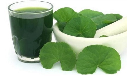 Cách chữa nổi mề đay dân gian được các bác sĩ khuyên dùng