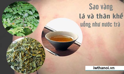 Cách trị mề đay bằng lá khế đơn giản mà hiệu quả cao