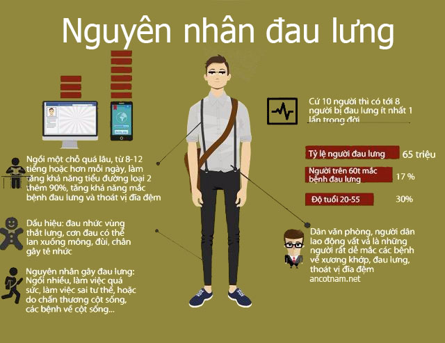 Nguyên nhân gây đau lưng